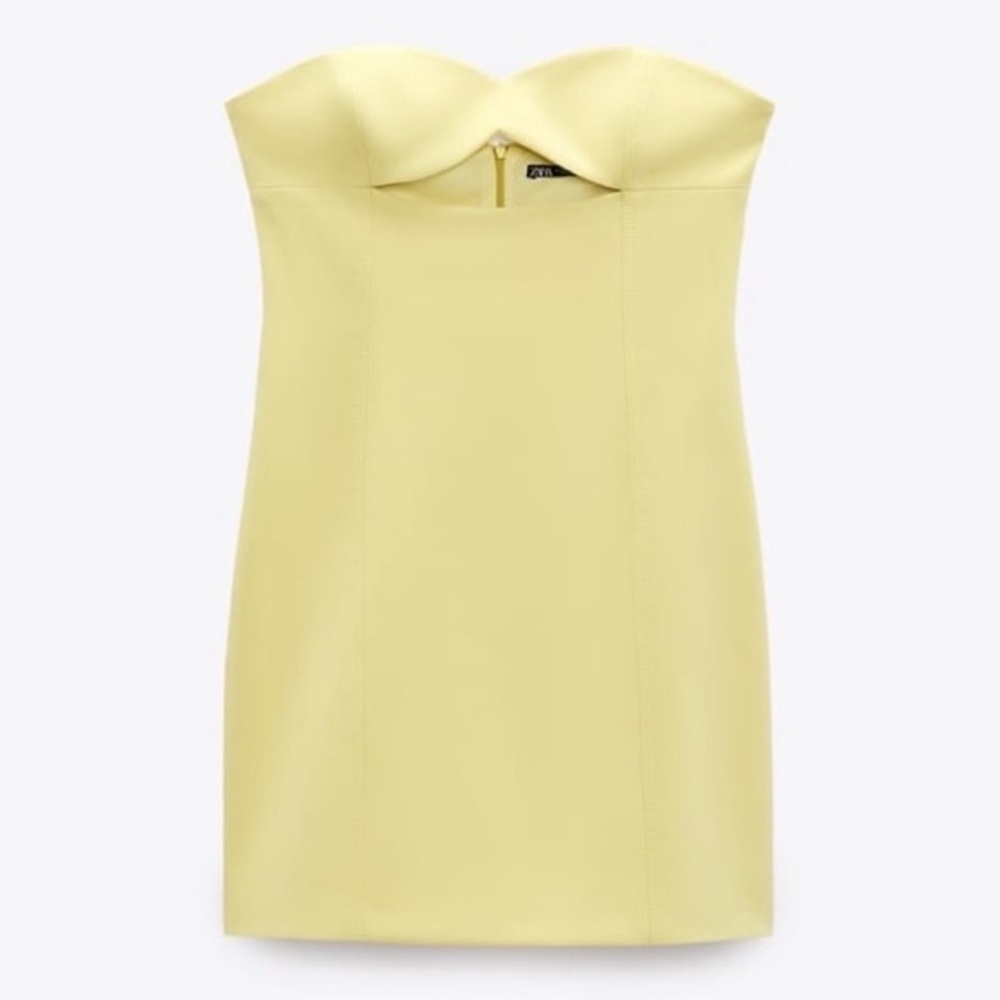 Zara Strapless Cut Out Dress NWT